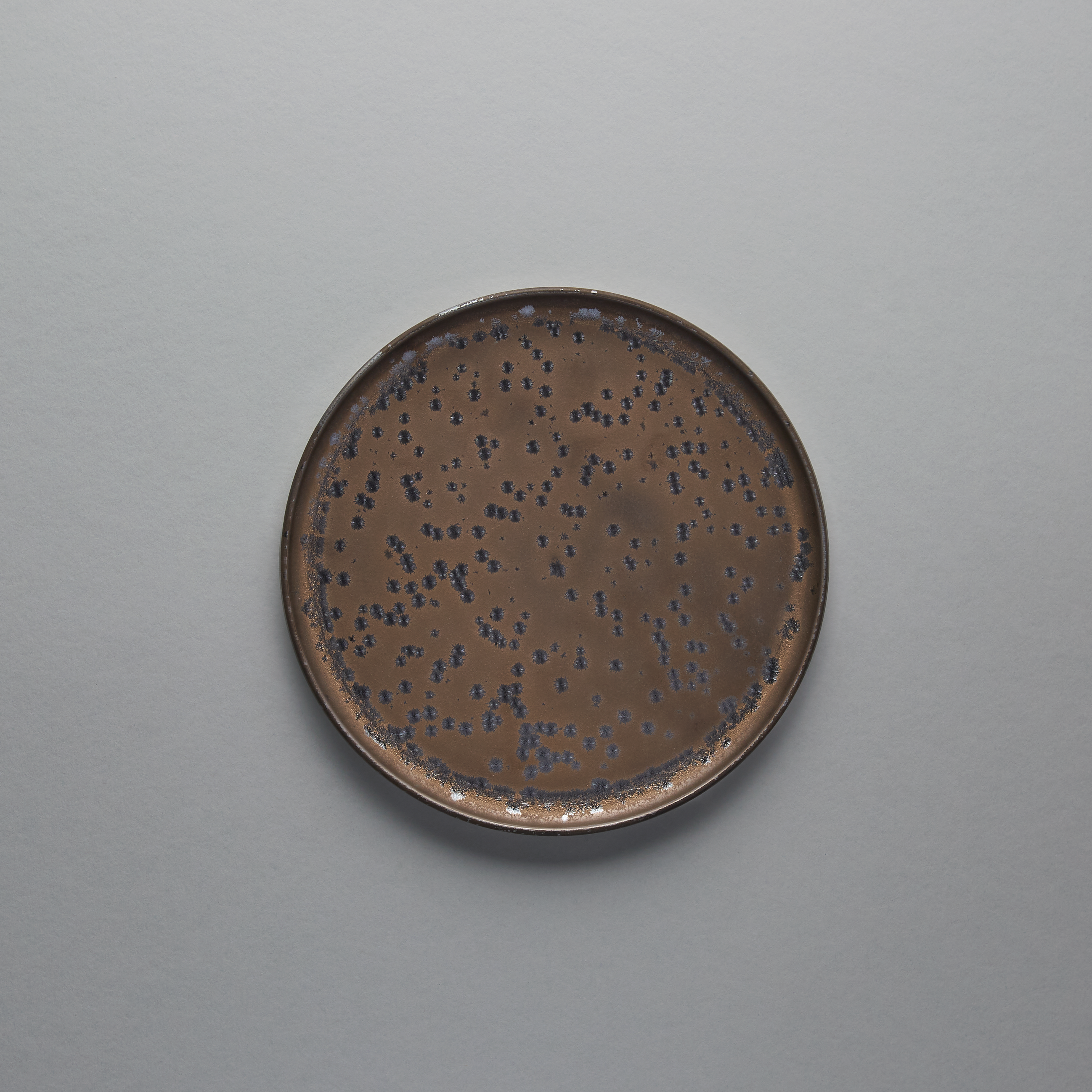 Short Rim Plate 22.9cm, 22.9cm x 1.7cm